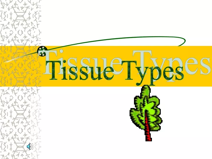 tissue types