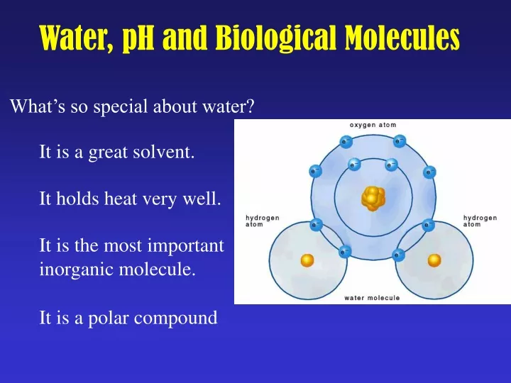 water ph and biological molecules