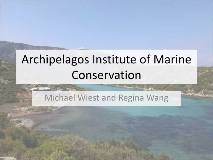 archipelagos institute of marine conservation