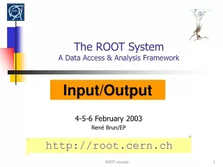 The ROOT System A Data Access &amp; Analysis Framework