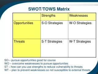 SWOT/TOWS Matrix