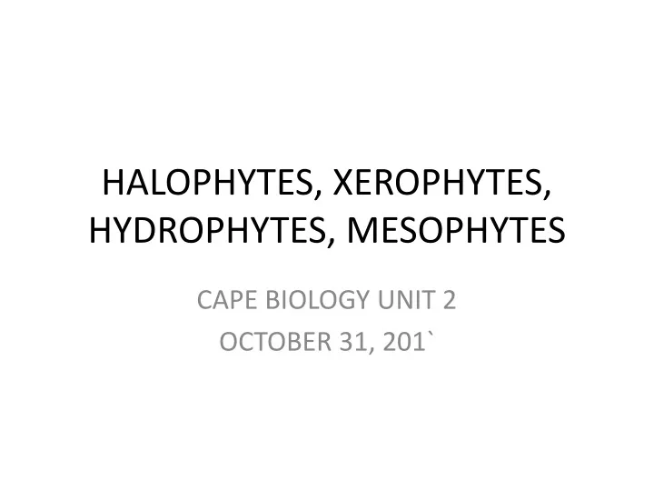 halophytes xerophytes hydrophytes mesophytes