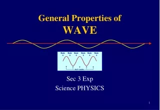 General Properties of WAVE