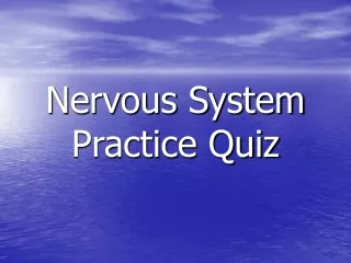 Nervous System Practice Quiz