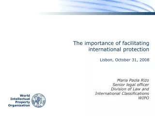 The importance of facilitating  international protection Lisbon, October 31, 2008