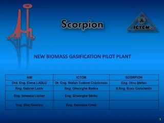 NEW BIOMASS GASIFICATION PILOT PLANT