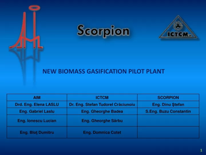 new biomass gasification pilot plant