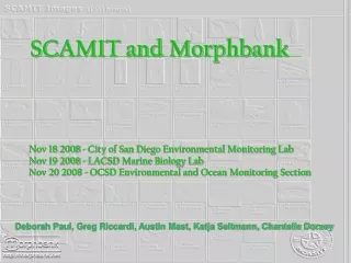 SCAMIT and Morphbank