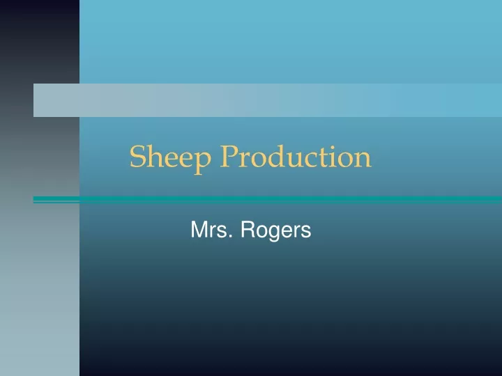 sheep production