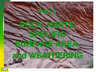 ROCK JOINTS, SPECIFIC SURFACE AREA,  and WEATHERING