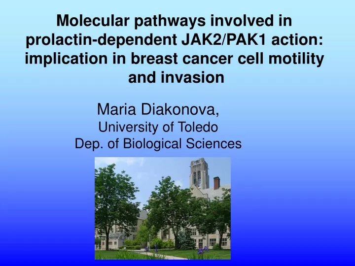 molecular pathways involved in prolactin