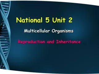 National 5 Unit 2