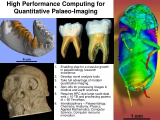High Performance Computing for Quantitative Palaeo-Imaging