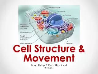 Cell Structure &amp; Movement