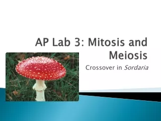 AP Lab 3: Mitosis and Meiosis