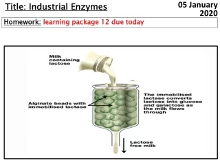 Title: Industrial Enzymes