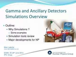 Gamma and Ancillary Detectors Simulations Overview
