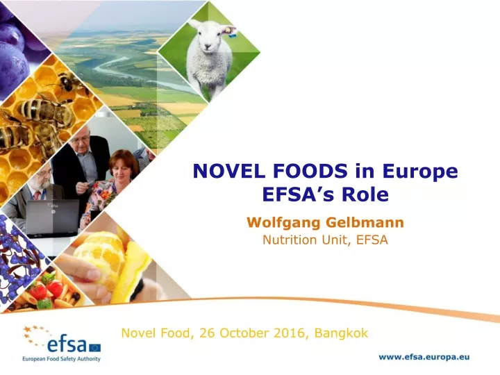 novel foods in europe efsa s role wolfgang