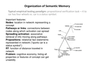 Organization of Semantic Memory