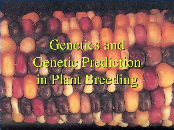 genetics and genetic prediction in plant breeding