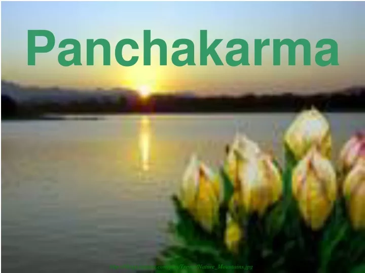 panchakarma