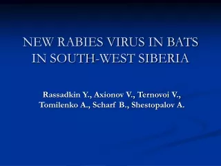 NEW RABIES VIRUS IN BATS IN SOUTH-WEST SIBERIA
