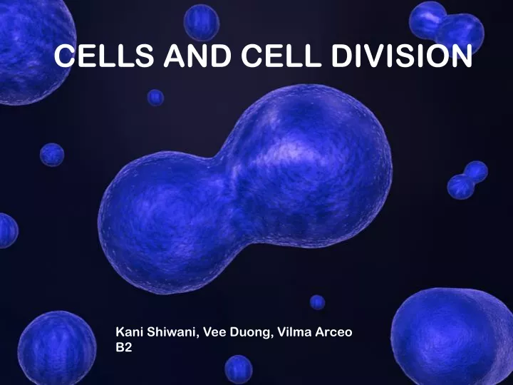 cells and cell division