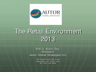 The Retail Environment 2013