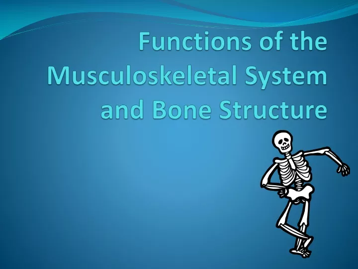 functions of the musculoskeletal system and bone structure