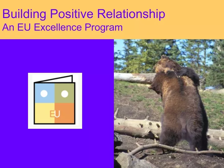 building positive relationship an eu excellence program