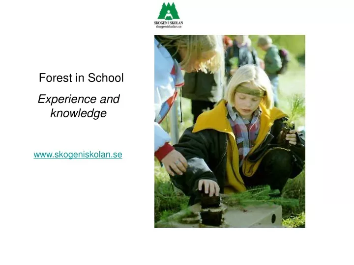 forest in school experience and knowledge