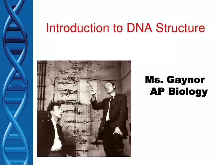 introduction to dna structure