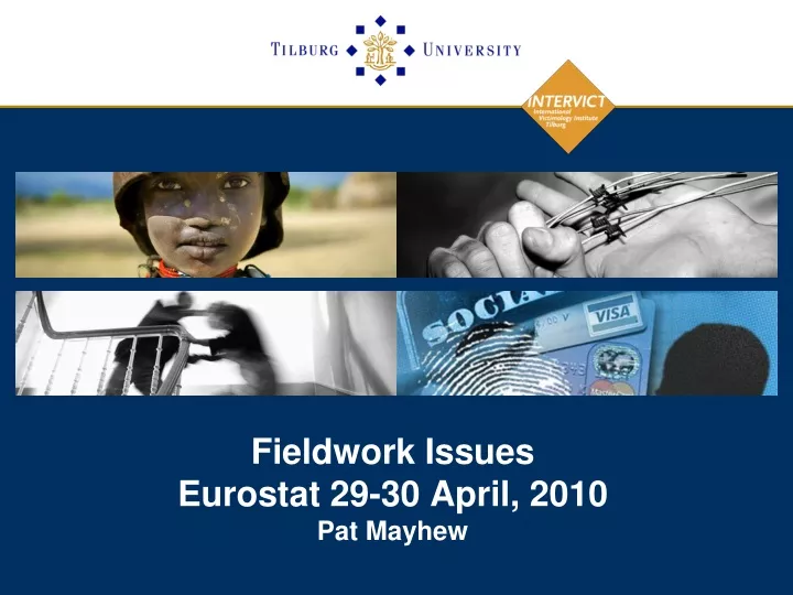 fieldwork issues eurostat 29 30 april 2010 pat mayhew