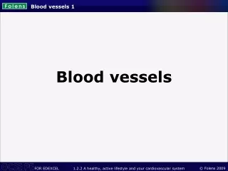 Blood vessels 1