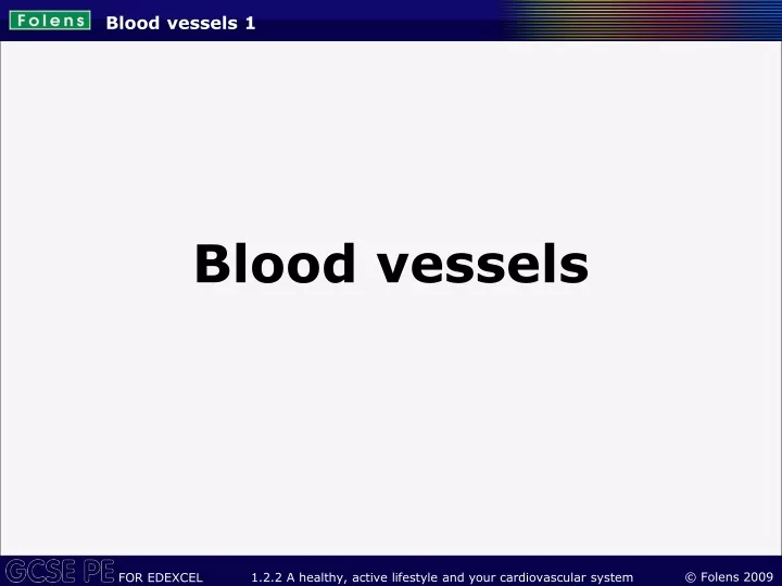 blood vessels 1