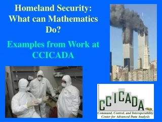 Homeland Security: What can Mathematics Do? Examples from Work at CCICADA