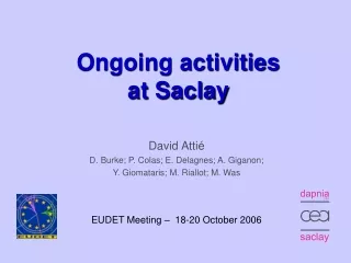 Ongoing activities at Saclay