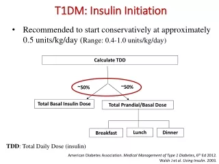 T1DM: Insulin Initiation