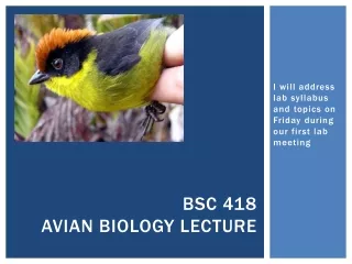 BSC 418  Avian Biology Lecture