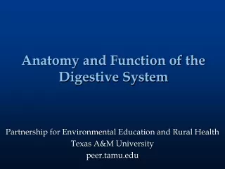 Anatomy and Function of the Digestive System