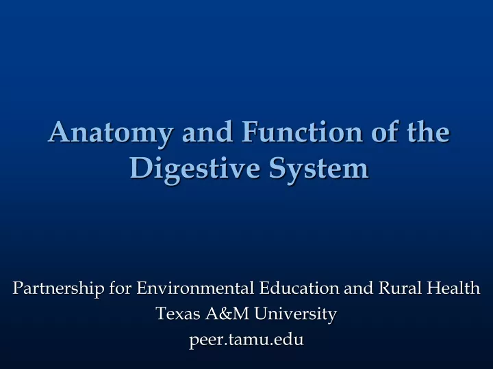 anatomy and function of the digestive system