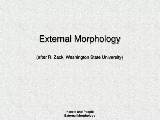 External Morphology (after R. Zack, Washington State University)