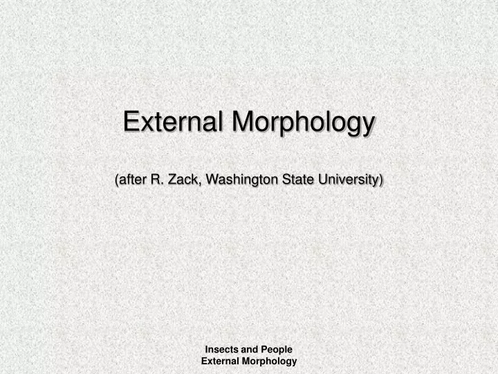 external morphology after r zack washington state university