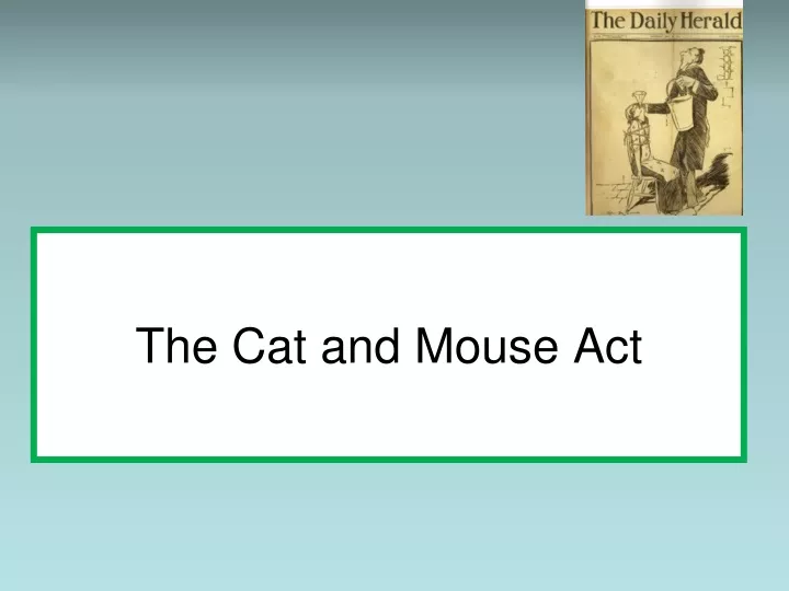 the cat and mouse act