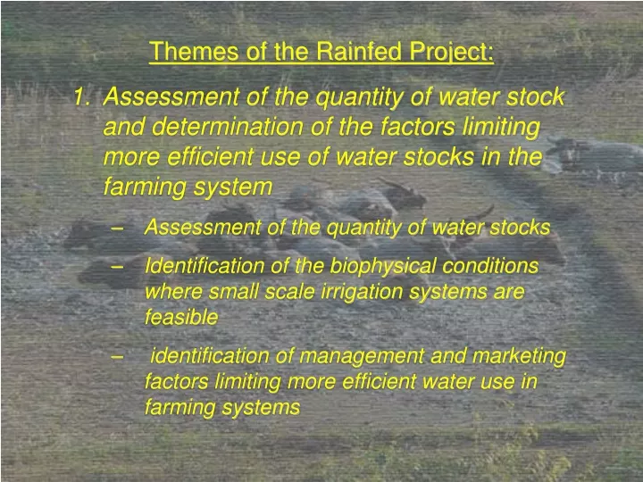 themes of the rainfed project assessment