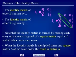 Matrices - The Identity Matrix