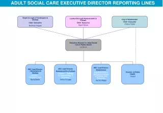 ADULT SOCIAL CARE EXECUTIVE DIRECTOR REPORTING LINES