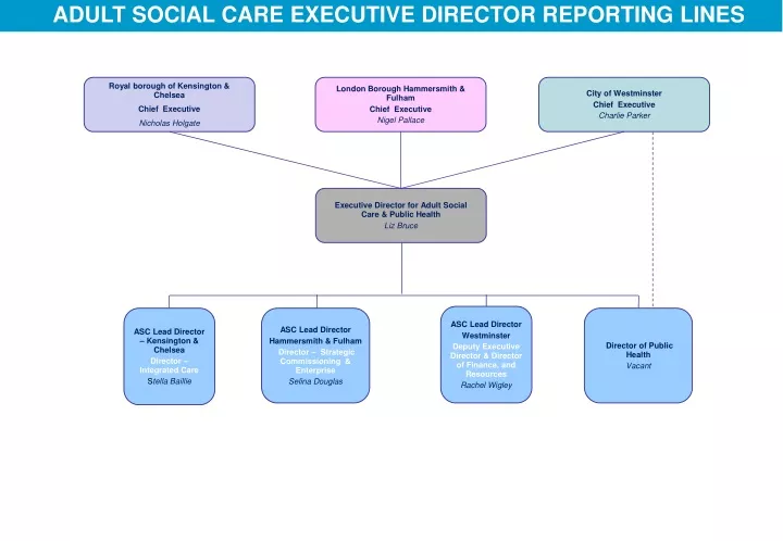 adult social care executive director reporting