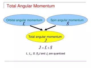 Total Angular Momentum
