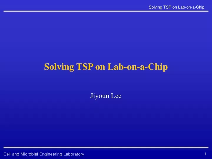 solving tsp on lab on a chip